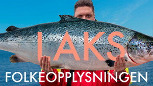 Folkeopplysningen 6. évad Ep.2 2. epizód