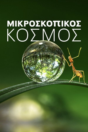 Apró világ poszter