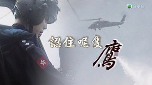 新聞掏寶 1. évad Ep.219 219. epizód