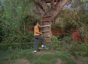 The Brady Bunch 2. évad Ep.11 11. epizód