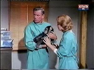 Daktari 1. évad Ep.8 8. epizód