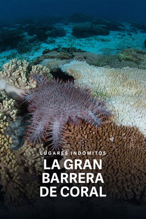 Wildest Places: Great Barrier Reef poszter