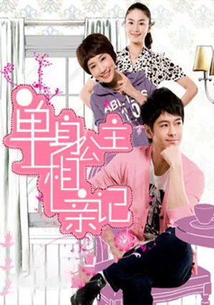 单身公主相亲记 1. évad (2010-09-17) poszter