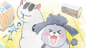 犬と猫どっちも飼ってると毎日たのしい kép