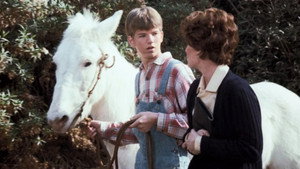 The Waltons 5. évad Ep.18 18. epizód