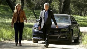 NCIS: Tengerészeti helyszínelők 14. évad Ep.22 Vadórzók
