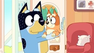 Bluey 2. évad Ep.3 A tollpálca