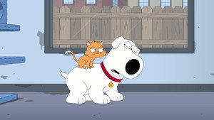 Family Guy 24. évad Ep.12 12. epizód
