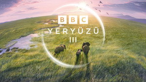 Bolygónk, a Föld III kép