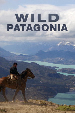 Vad vidékek - Patagónia
