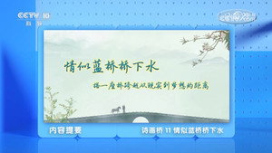 百家讲坛：专题集 497. évad Ep.11 11. epizód