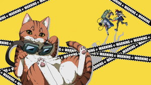 ニャイト・オブ・ザ・リビングキャット kép