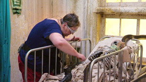 I'm a Celebrity...Get Me Out of Here! 18. évad Ep.10 10. epizód