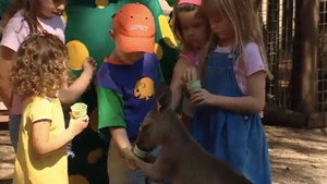 The Wiggles 3. évad Ep.6 6. epizód