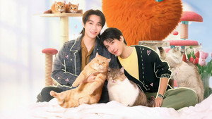 เปย์รักด้วยแมวเลี้ยง kép