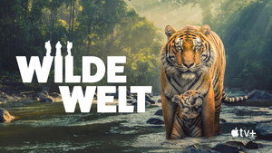The Wild Ones kép