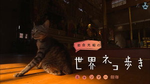 岩合光昭の世界ネコ歩き 1. évad Ep.73 73. epizód