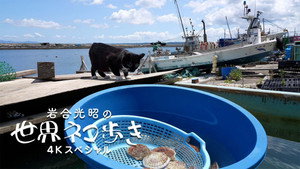 岩合光昭の世界ネコ歩き 1. évad Ep.141 141. epizód