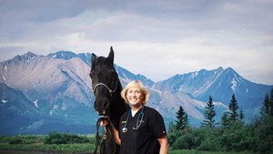 Dr. Dee: Alaska Vet kép