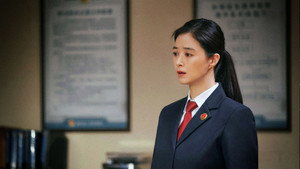以法之名 kép