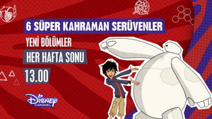 Hős6os: A sorozat kép
