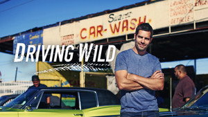 Driving Wild kép