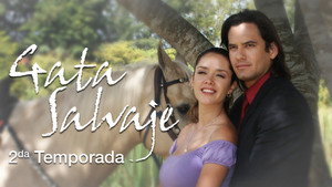 Gata salvaje kép