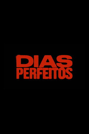 Dias Perfeitos poszter
