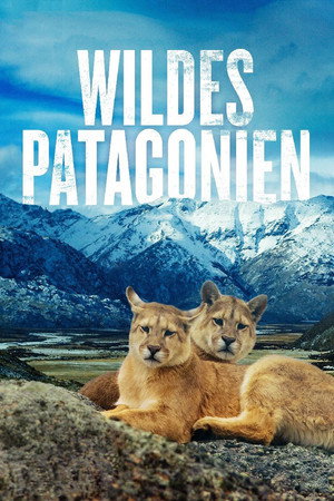 Vad vidékek - Patagónia poszter