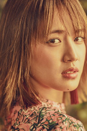 藤井夏恋 profil kép