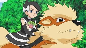 Pokémon 13. évad Ep.11 11. epizód
