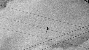 The Line (SG) 2. évad Ep.9 9. epizód