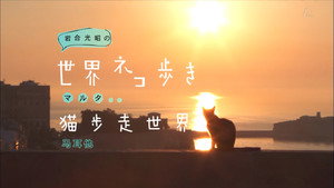 岩合光昭の世界ネコ歩き 1. évad Ep.30 30. epizód