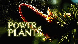 Power Of Plants kép