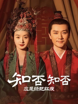知否知否应是绿肥红瘦DVD版 poszter