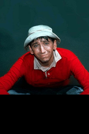 Gilligan's Island poszter