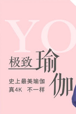 极致瑜伽 poszter