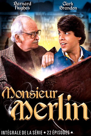 Mr. Merlin poszter