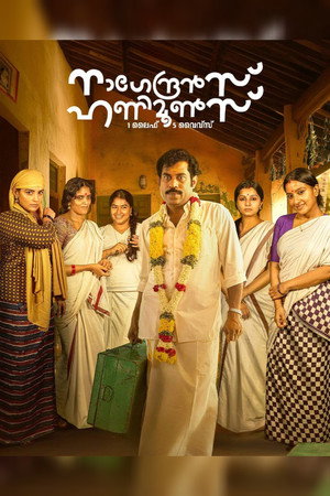നാഗേന്ദ്രൻസ് ഹണിമൂൺസ് poszter