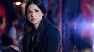 CSI: Las Vegas-i helyszínelők 2. évad Ep.1 Tükör által homályosan