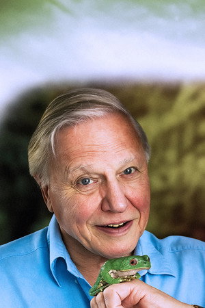 A természet furcsaságai David Attenborough-val 4. évad (2017-06-11) poszter