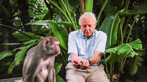 Az állatvilág története David Attenborough-val kép