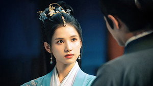 藏海传 kép