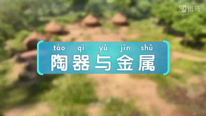 斑马百科 23. évad Ep.11 11. epizód