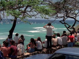 Hawaii Five-O 9. évad Ep.8 8. epizód