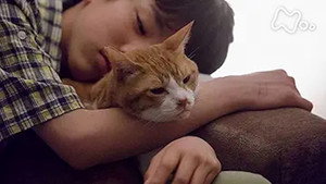 ブランケット・キャッツ 1. évad Ep.4 4. epizód