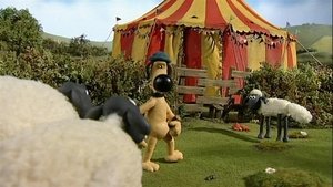 Shaun, a bárány 1. évad Ep.16 16. epizód