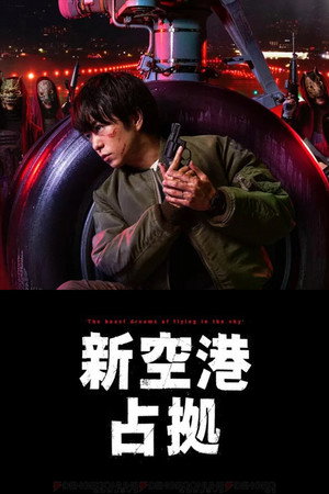 新空港占拠 poszter