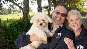 The Dog House NZ kép