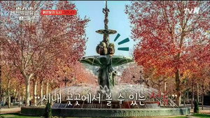 텐트 밖은 유럽 2. évad Ep.7 7. epizód